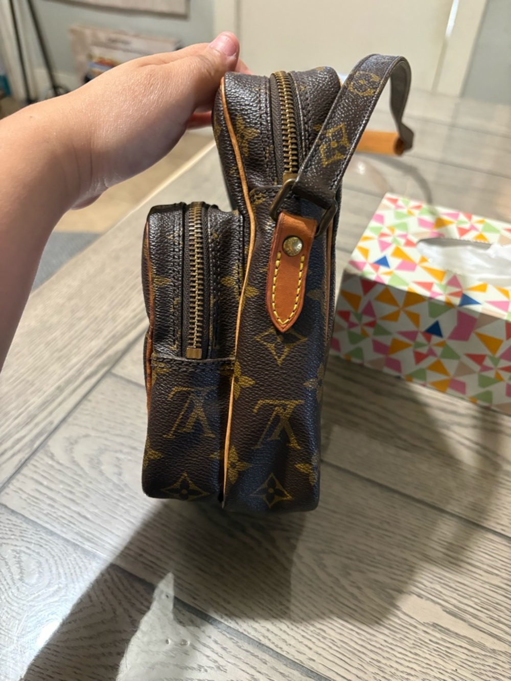 Louis Vuitton Amazone Crossbody Bag - Picture 2 of 11